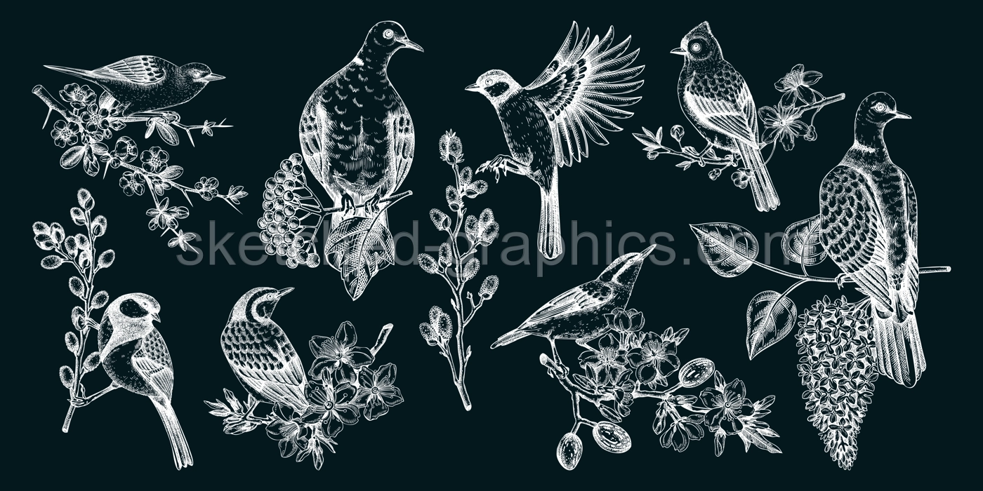 Spring garden background. Vintage seamless patter with birds, flowers, leaves and blooming tree branches. Hand drawn almond, willow, rowan, willow, cherry blossom floral sketches for prints or textile Illustration